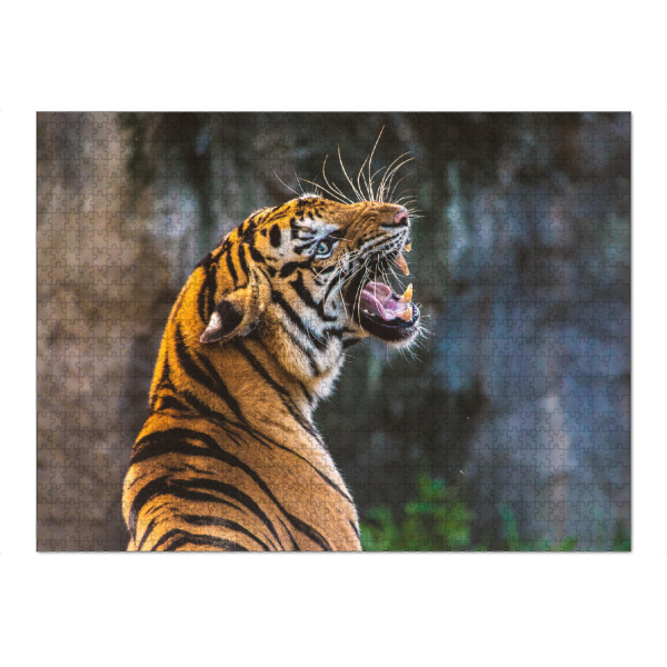 Puzzle Ravensburger "Brüllender Tiger" artboxONE - Tiere - Bengalischer tiger,Orange,Kulleraugen,Brüllender tiger,Tiger,Asiatischer tiger