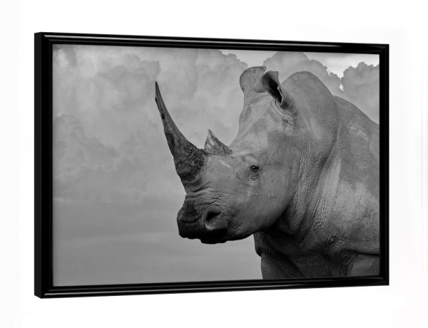 Poster mit schwarzem Rahmen "Breitmaul Nashorn mit Wolken" artboxONE - Tiere,Schwarzweiß,Reise / Afrika