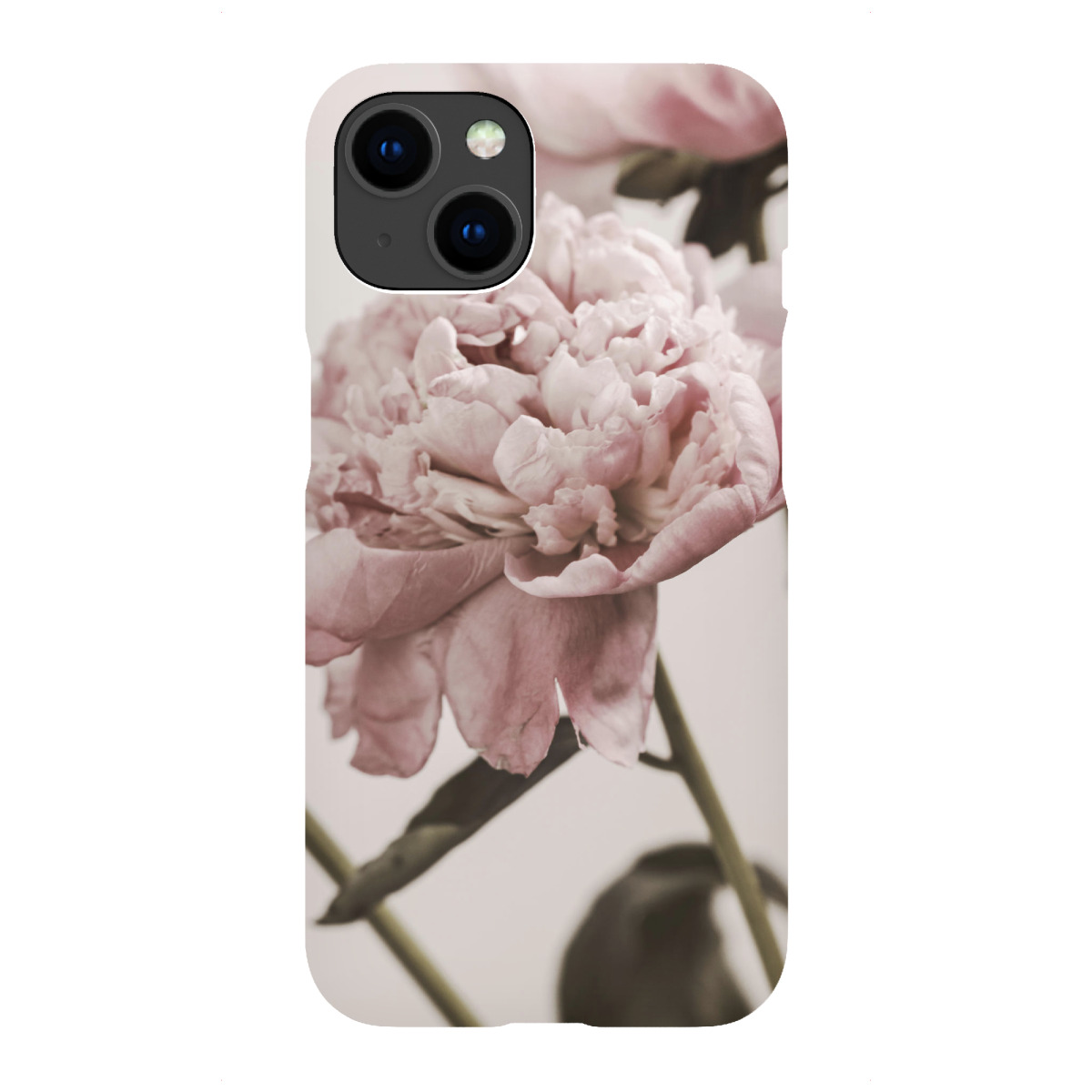 iPhone "Pastel Pink Peonies" Premium-Case Handyhülle artboxONE