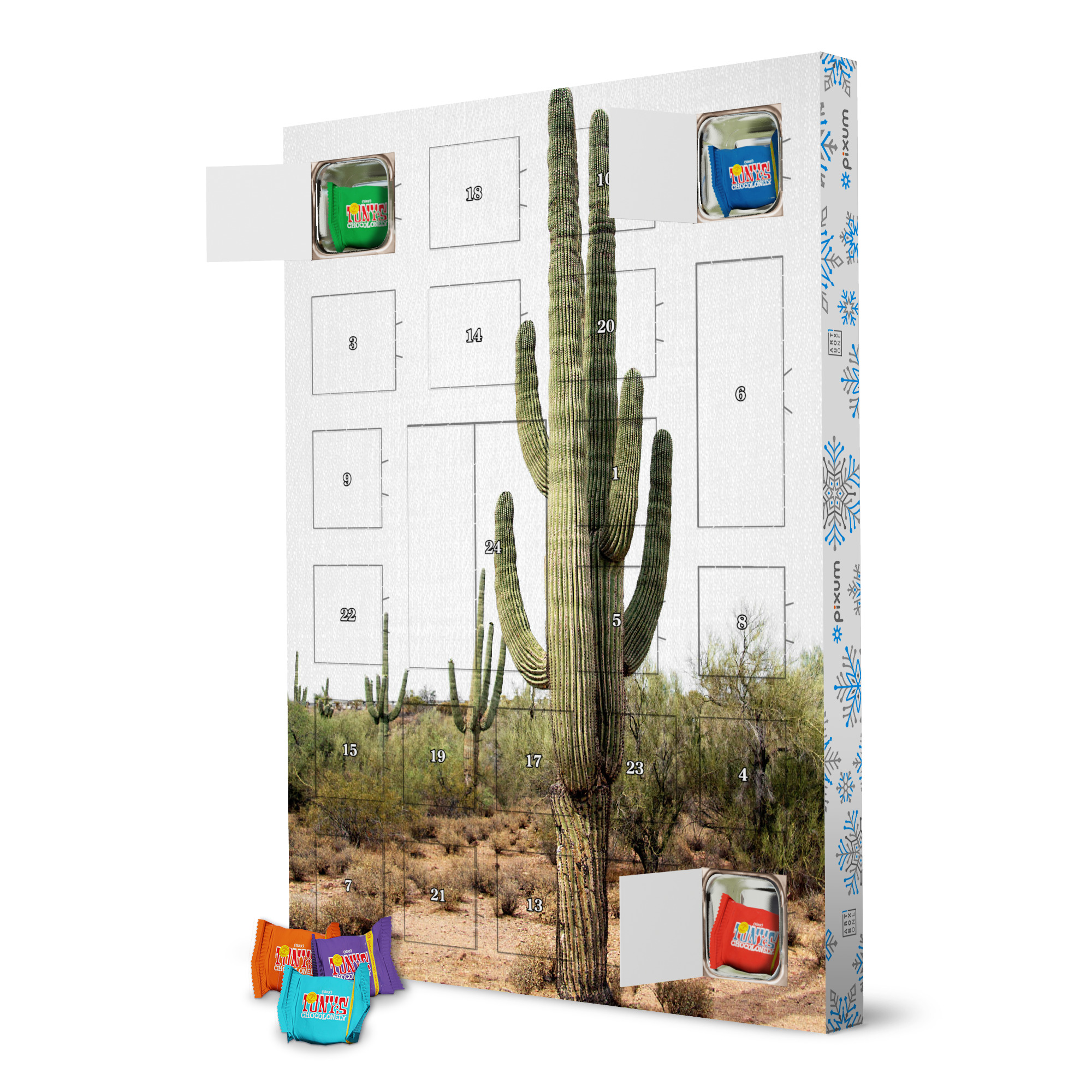 Adventskalender mit Tony's Chocolonely Arizona's Cactus artboxONE Adventskalender Natur