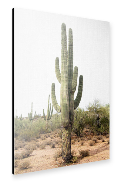Alu-Dibond "Arizona's Cactus" 30x20 cm artboxONE