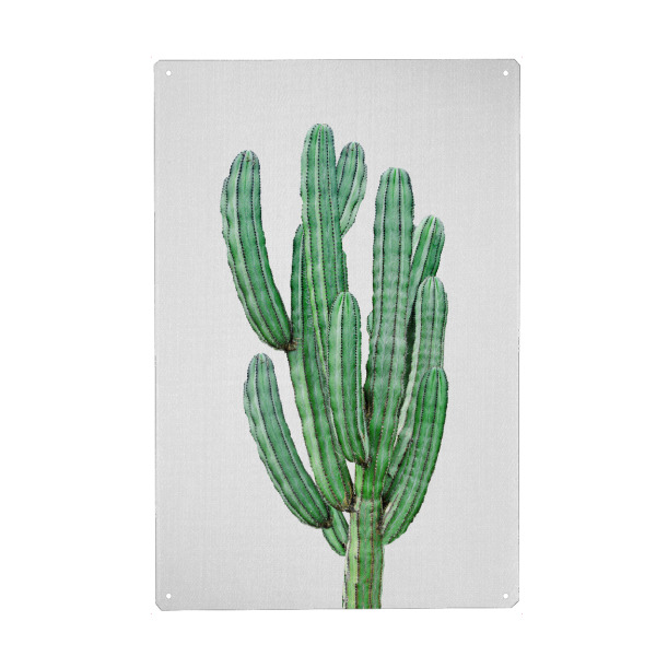 Holzbild "The Cactus - Portrait" artboxONE - Natur,Floral