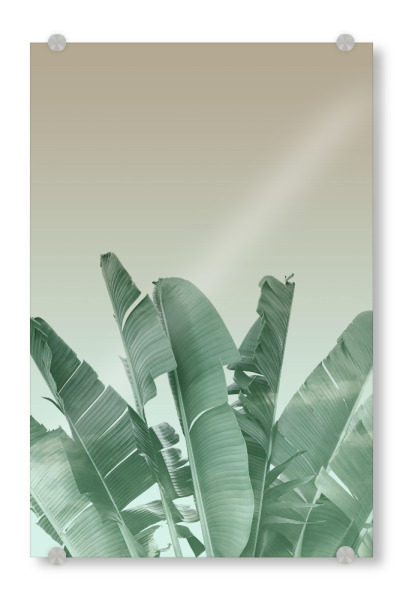 Acrylglasbild "Abstract Banana Leaves Art" artboxONE - Natur - Abstract,Banana leaves,Leaves,Tropical