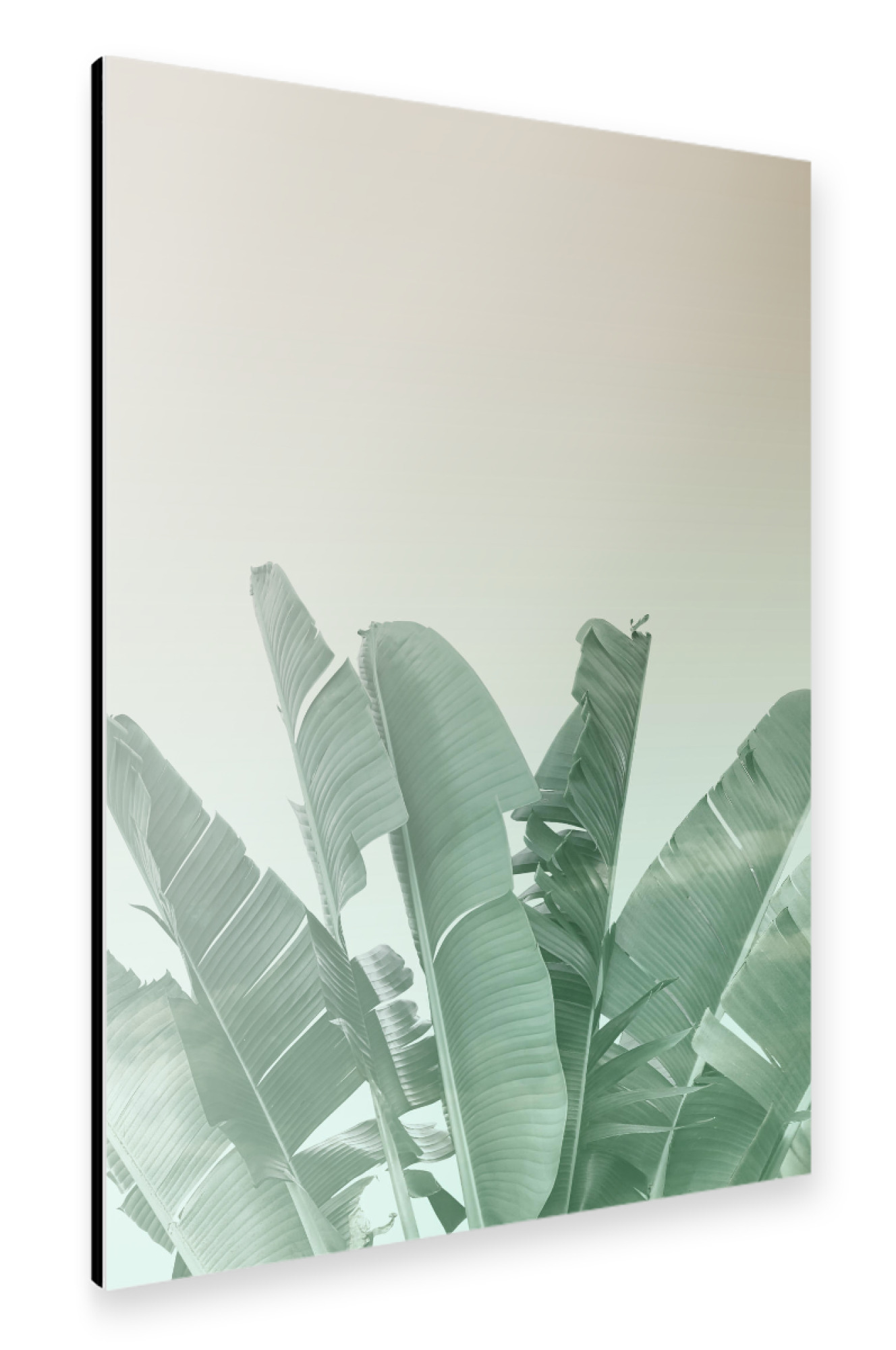 Alu-Dibond "Abstract Banana Leaves Art" 75x50 cm artboxONE