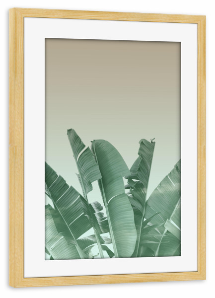 Poster mit Rahmen kiefer "Abstract Banana Leaves Art" artboxONE - Natur - Abstract,Banana leaves,Leaves,Tropical