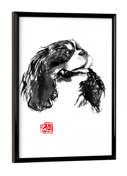 Poster mit schwarzem Rahmen "King charles" artboxONE - Tiere,Schwarzweiß - King charles,Dog,Sumie,Japan