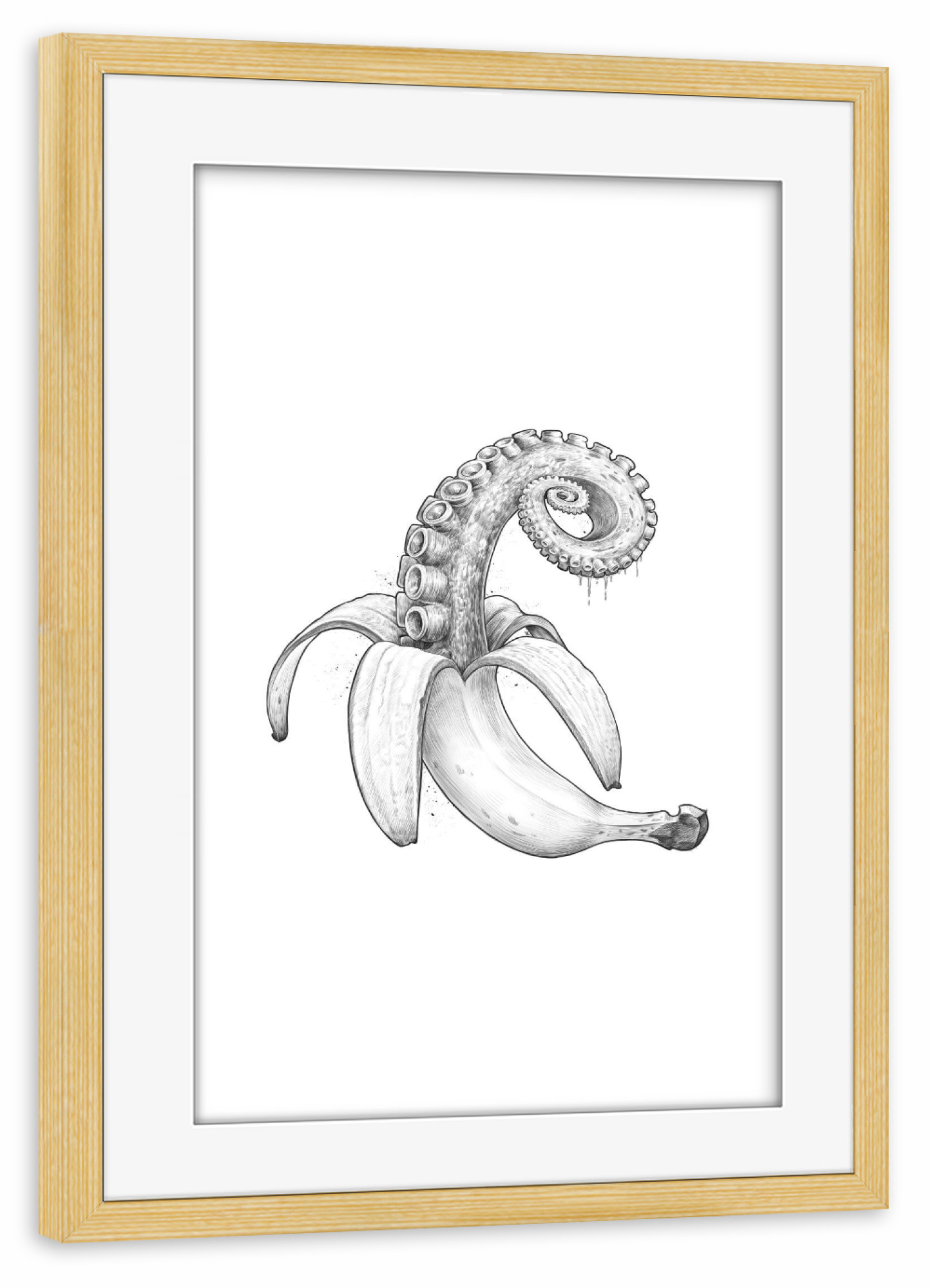 Poster mit Rahmen kiefer "Octopus banana black & white" artboxONE - Tiere,Essen & Trinken,Schwarzweiß