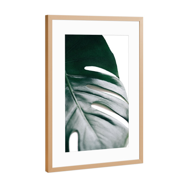 Poster mit Rahmen Kupfer "Better Half - Monstera Leaf" artboxONE - Natur,Floral - Monstera pflanze,Palmenblatt,Minimalismus,Botanisch,Exotisch,Leaf