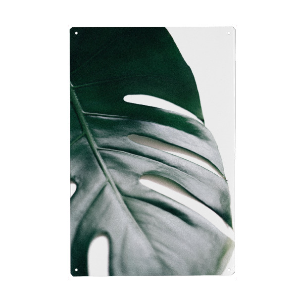 Metall Poster "Better Half - Monstera Leaf" artboxONE - Natur,Floral - Monstera pflanze,Palmenblatt,Minimalismus,Botanisch,Exotisch,Leaf