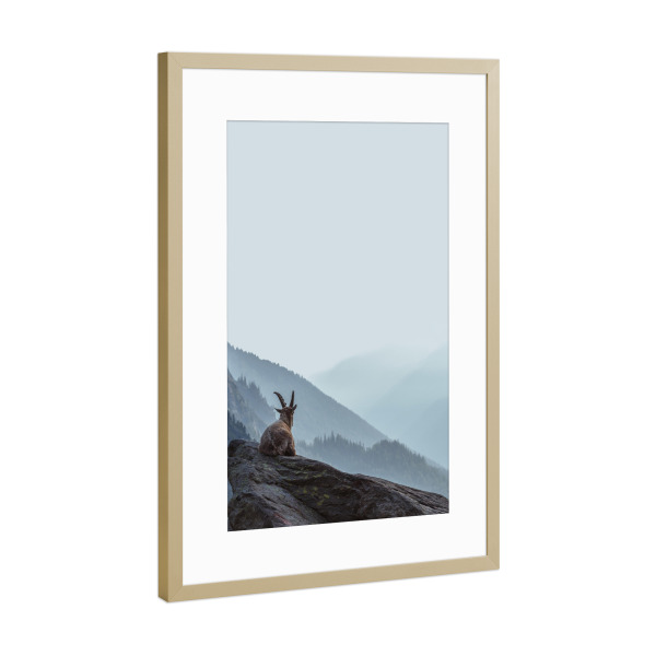 Poster mit Rahmen Gold "Animal in The Mountain" artboxONE - Natur,Reise,Tiere - Animal,Mountain,Layers mountain