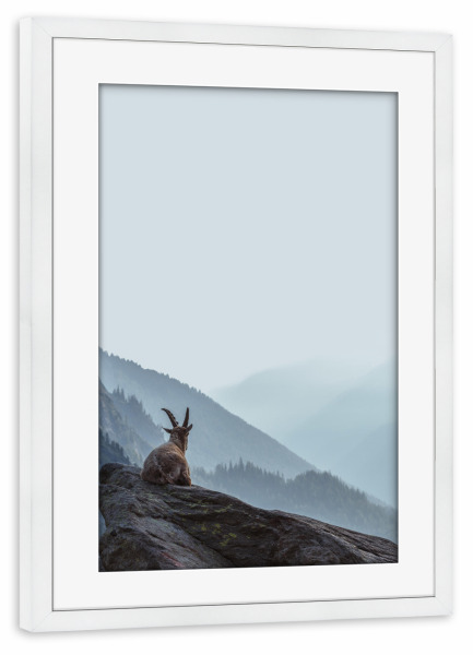 Poster mit Rahmen weiß "Animal in The Mountain" artboxONE - Natur,Reise,Tiere - Animal,Mountain,Layers mountain