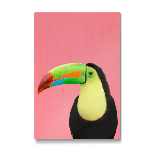 Galerie-Print "Toucan in Pink" 30x20 cm artboxONE