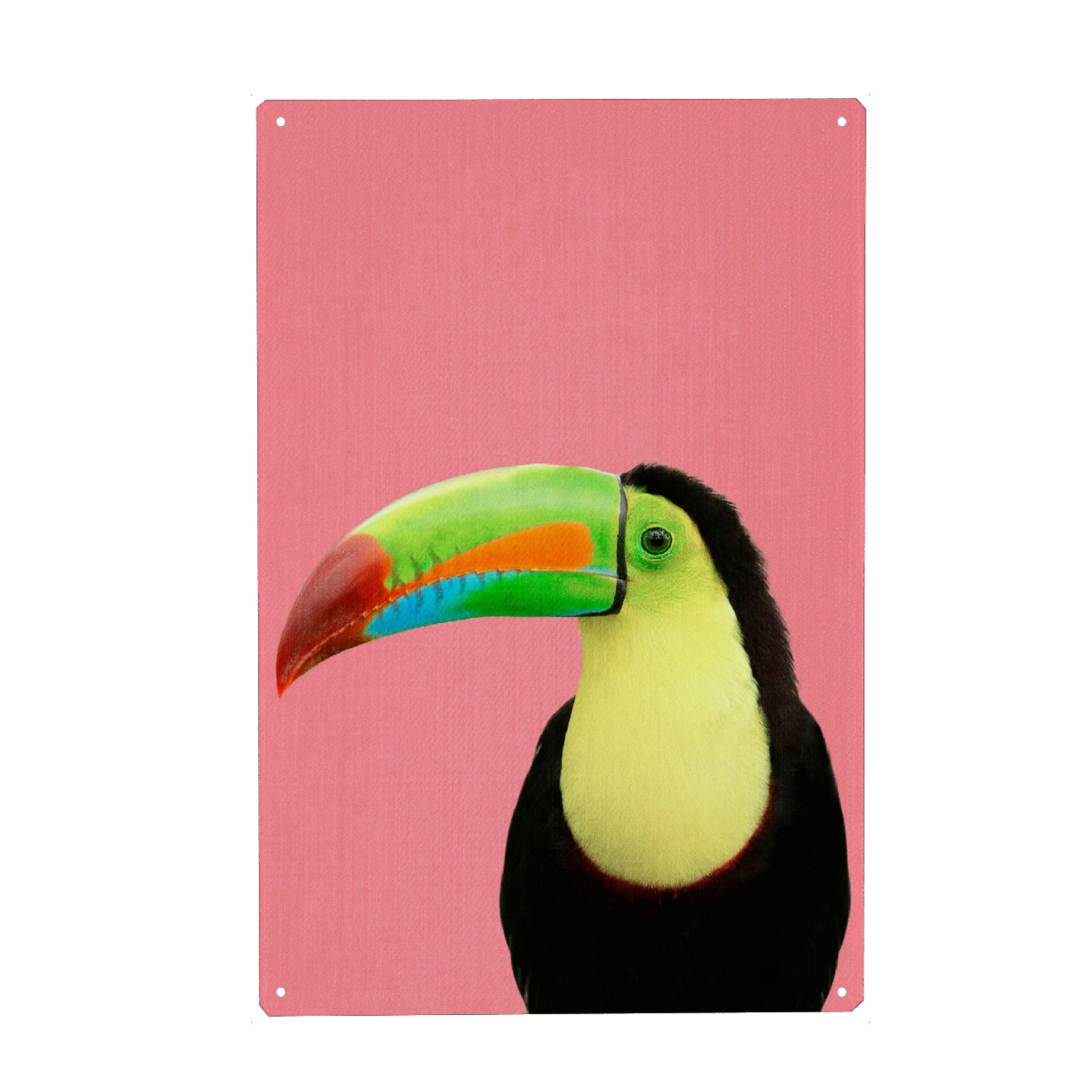 Holzbild "Toucan in Pink" artboxONE - Natur,Für Kinder,Tiere,Für Mama,Für Papa