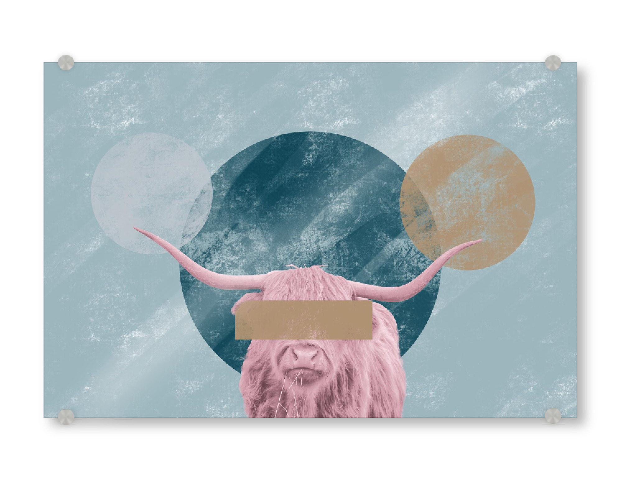 Acrylglasbild "Bull Confidential" artboxONE - Tiere - Bull,Pink,Green,Animal,Texture,Concept,Minimal,Farm,Circle,Serene