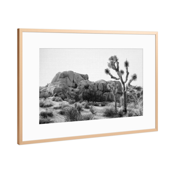 Poster mit Rahmen Kupfer "Arizona's Desert" artboxONE - Natur,Floral,Für Kinder,Schwarzweiß,Für Mama,Für Papa