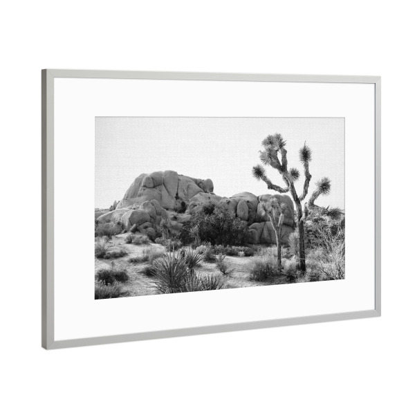 Poster mit Rahmen Silber "Arizona's Desert" artboxONE - Natur,Floral,Für Kinder,Schwarzweiß,Für Mama,Für Papa