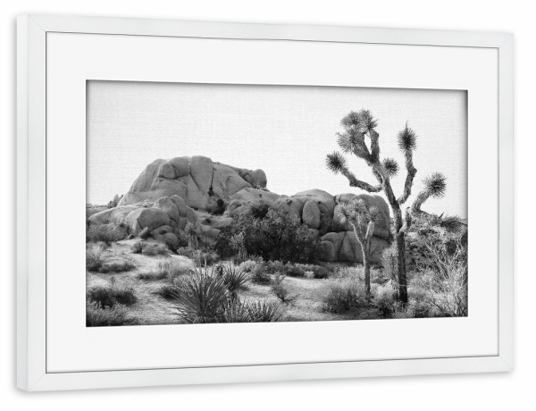 Poster mit Rahmen weiß "Arizona's Desert" artboxONE - Natur,Floral,Für Kinder,Schwarzweiß,Für Mama,Für Papa