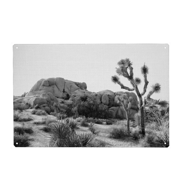 Metall Poster "Arizona's Desert" artboxONE - Natur,Floral,Für Kinder,Schwarzweiß,Für Mama,Für Papa