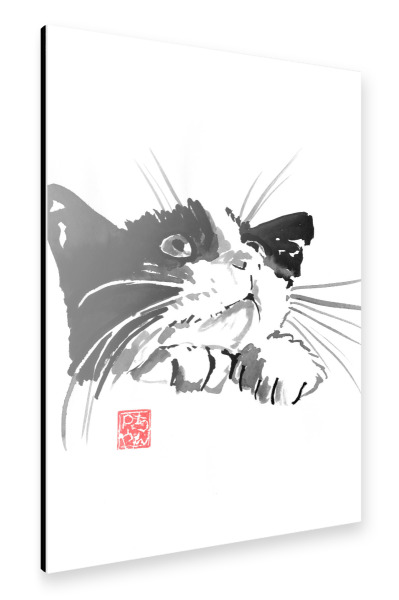 Alu-Dibond "Begging cat" 30x20 cm artboxONE