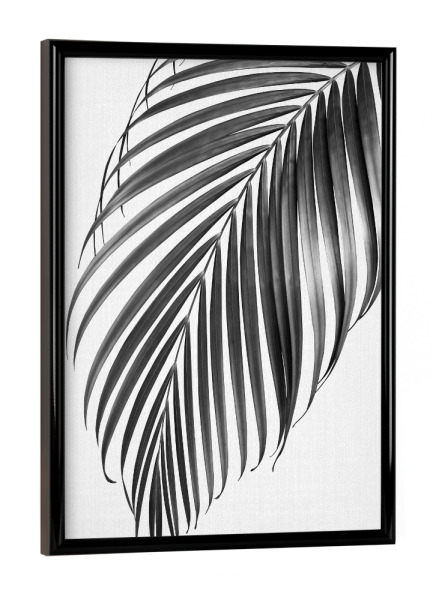 Poster mit schwarzem Rahmen "Palm Leaf - Black & White" artboxONE - Natur,Reise,Floral,Schwarzweiß,Für Mama,Für Papa
