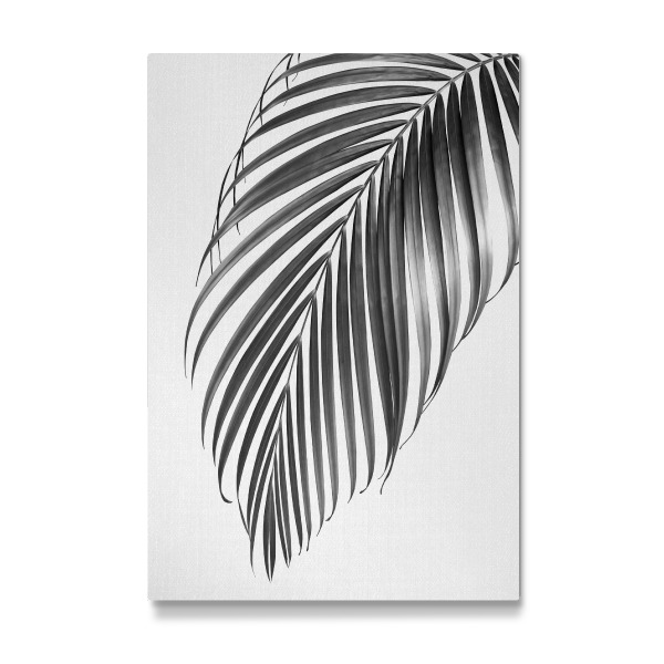 Galerie-Print "Palm Leaf - Black & White" 30x20 cm artboxONE