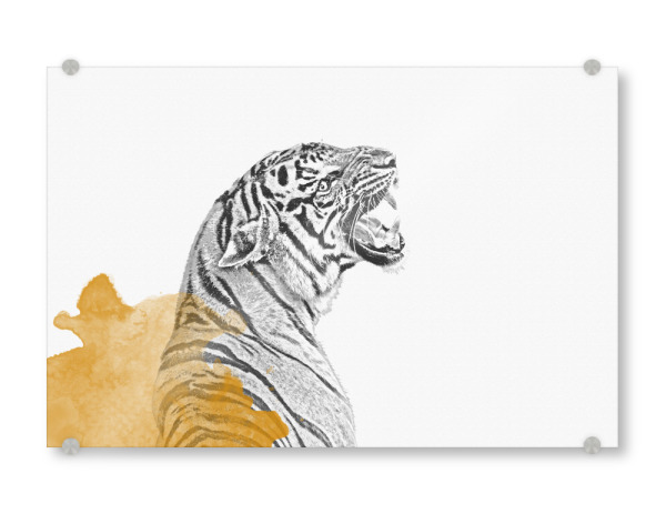Acrylglasbild "Tiger gezeichnet" artboxONE - Tiere - Tiger,Tiger poster,Tier poster,Coole poster,Cool,Tiger zeichnung,Zeichnung,Katze,Katzen