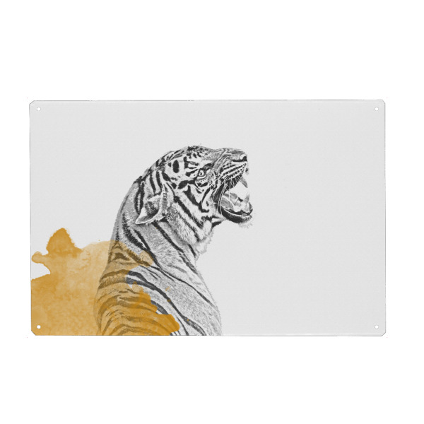 Metall Poster "Tiger gezeichnet" artboxONE - Tiere - Tiger,Tiger poster,Tier poster,Coole poster,Cool,Tiger zeichnung,Zeichnung,Katze,Katzen