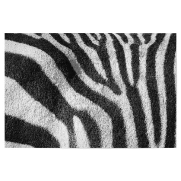 Poster "Zebra Muster C" artboxONE - Tiere,Abstrakt,Schwarzweiß,Reise / Afrika - Zebra,Muster,Fell,Afrika