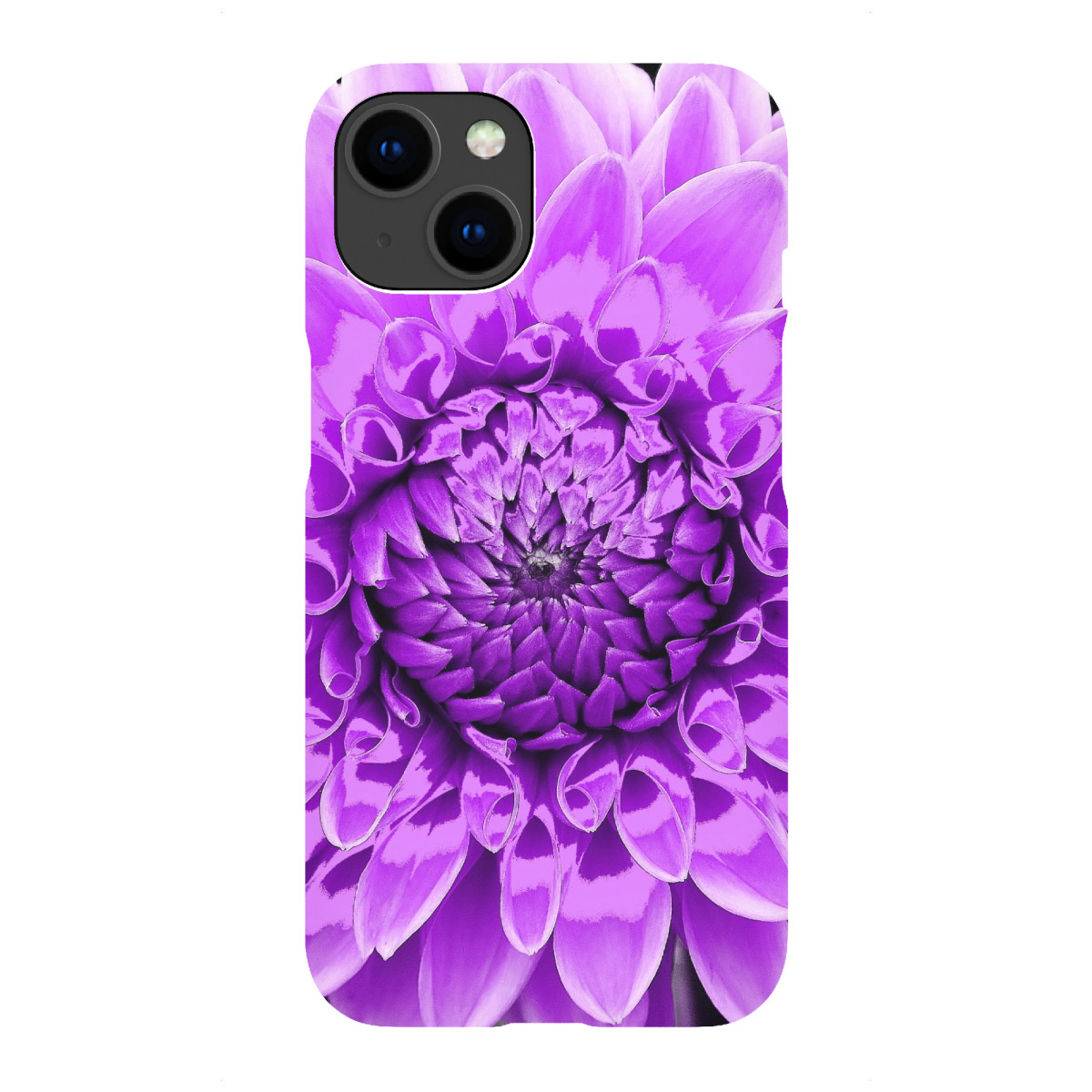 "Dahlie pop lila"für iPhone - Premium-Case Handyhülle artboxONE