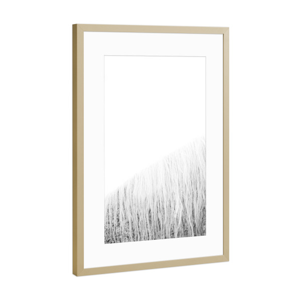 Poster mit Rahmen Gold "White Horse" artboxONE - Natur,Tiere,Liebe