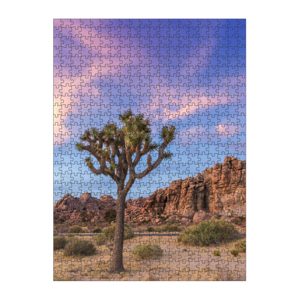 Puzzle Ravensburger "Joshua Tree im Abendlicht" artboxONE - Natur