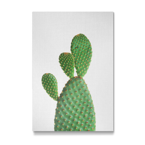 Galerie-Print "Cactus - Portrait" 30x20 cm artboxONE