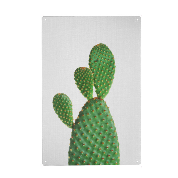 Holzbild "Cactus - Portrait" artboxONE - Natur,Floral,Für Kinder,Für Mama,Für Papa