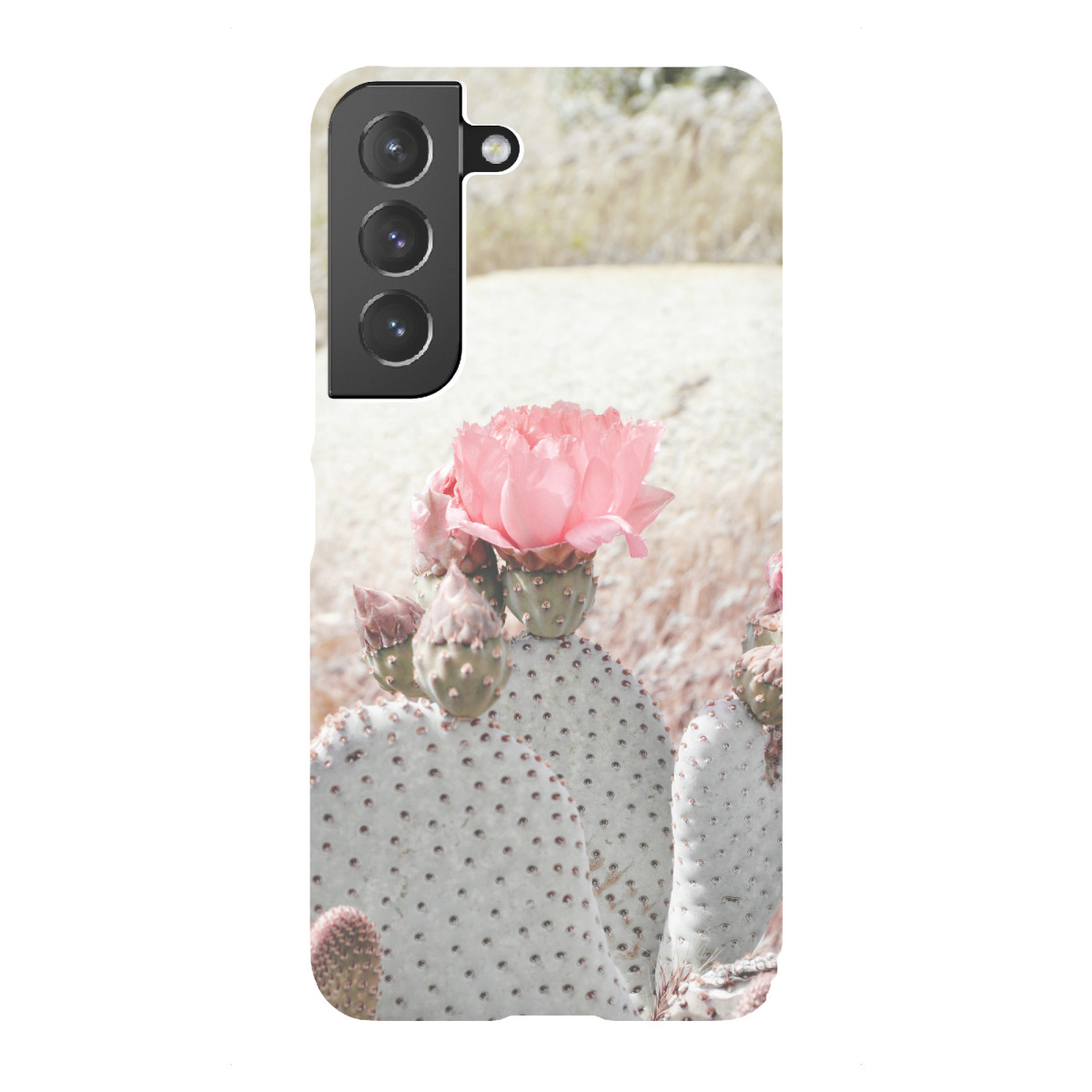 Samsung Galaxy "Pastel Succulents" Premium-Case Handyhülle artboxONE