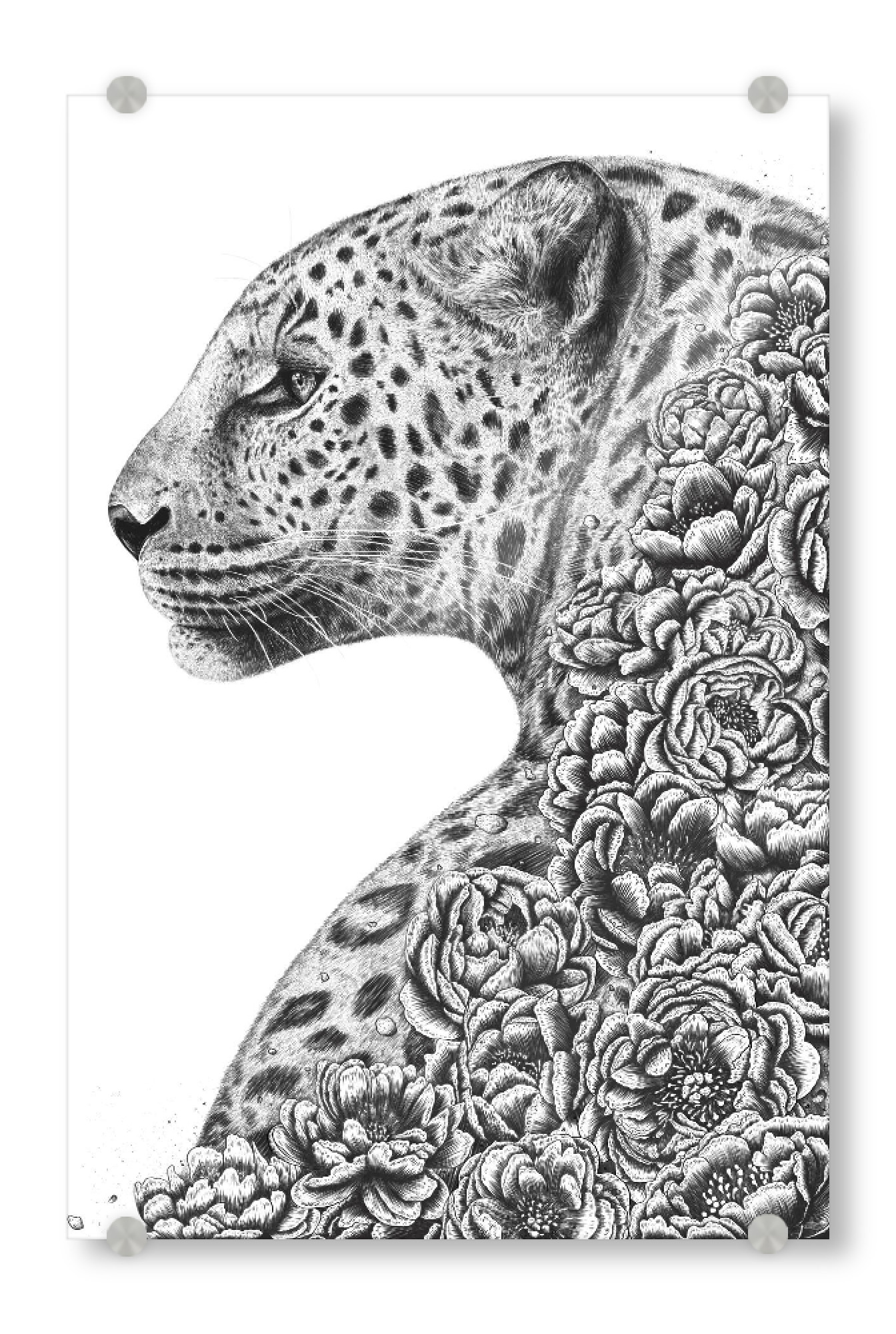 Acrylglasbild "Floral cat" artboxONE - Floral,Tiere,Schwarzweiß - Cat,Leopard,Flowers,Peonies,Black and white