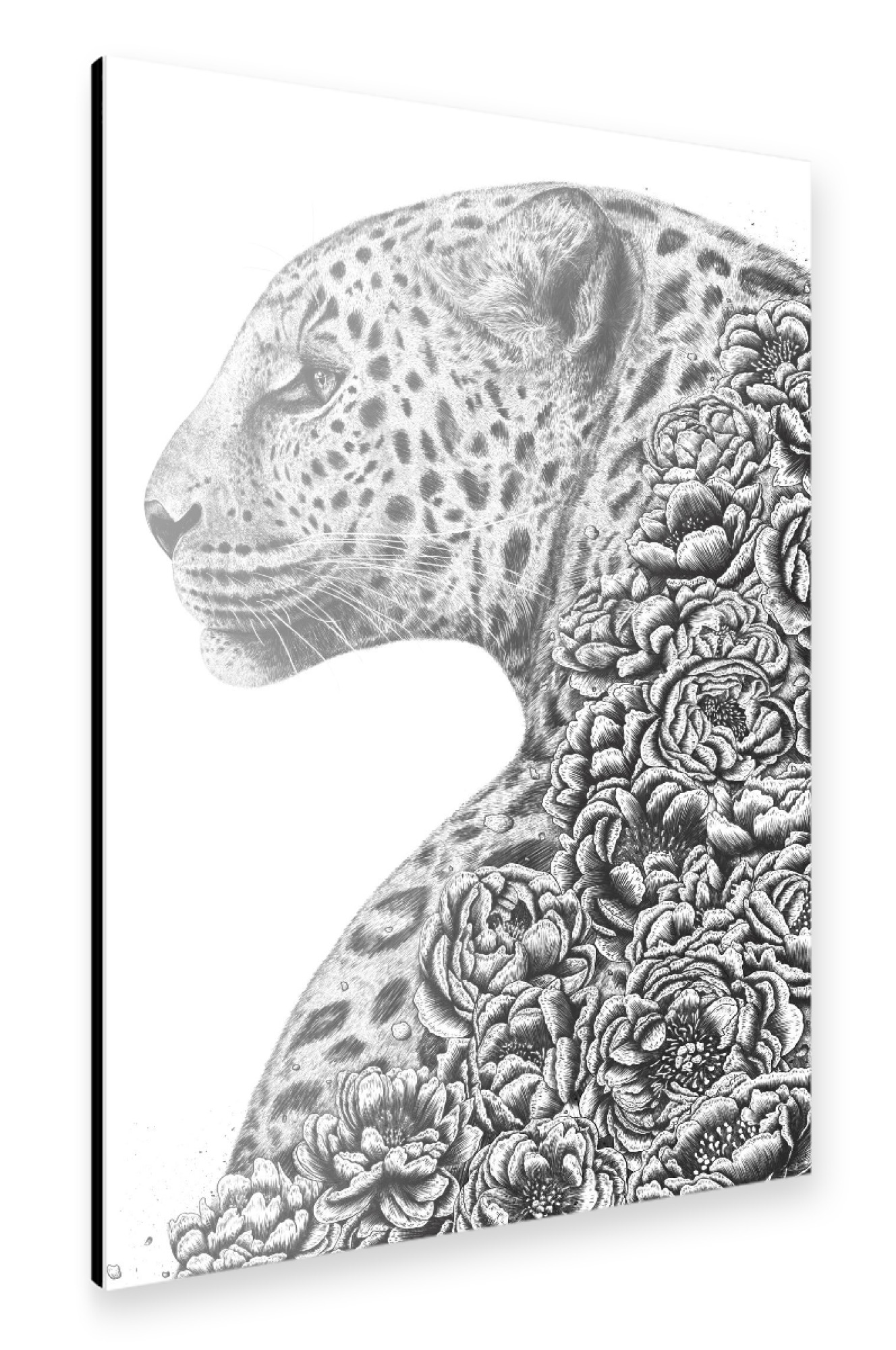Alu-Dibond "Floral cat" 75x50 cm artboxONE
