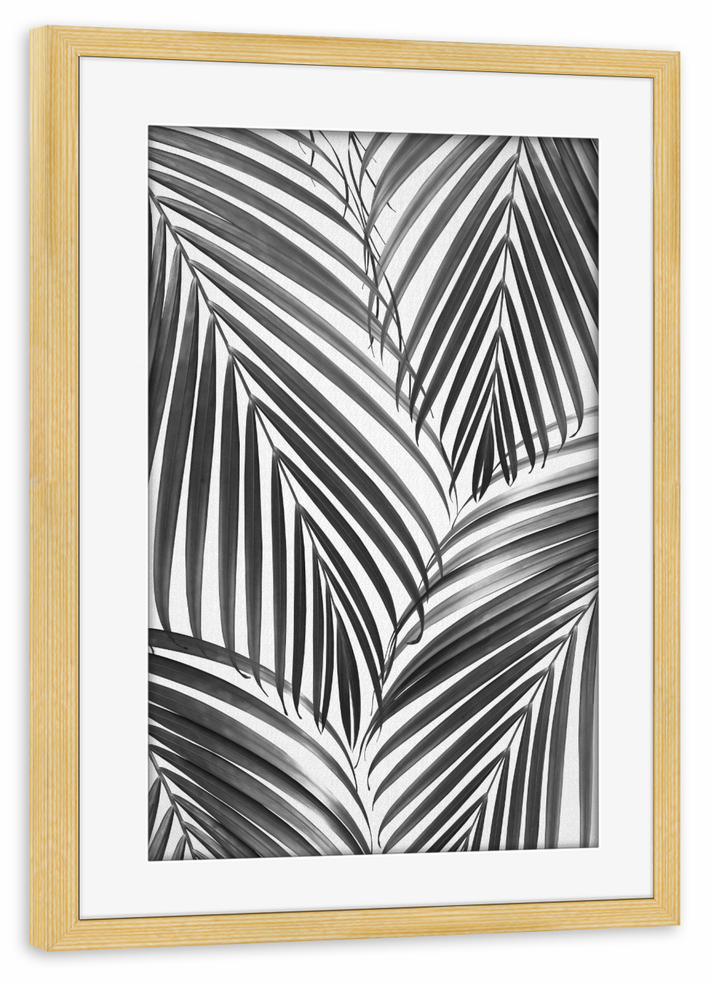 Poster mit Rahmen kiefer "Palm Leaves - Black & White" artboxONE - Natur,Floral,Für Kinder,Schwarzweiß,Für Mama,Für Papa