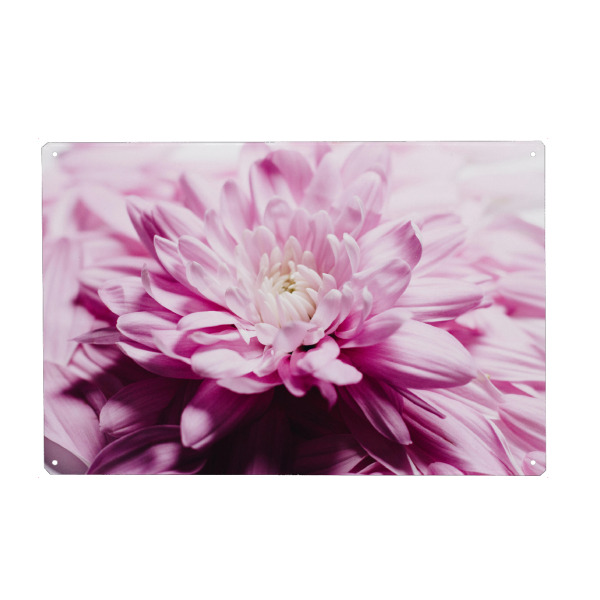 Holzbild "Soft Loveliness" artboxONE - Floral - Chrysantheme,Blume