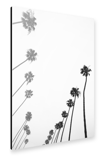 Alu-Dibond "Cali Palms" 30x20 cm artboxONE
