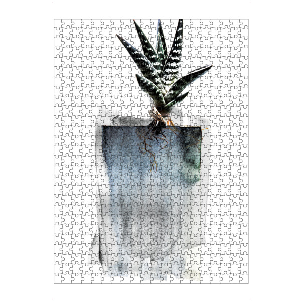 artboxONE Puzzle "Aloe Whole Plant" artboxONE - Natur,Floral,Abstrakt