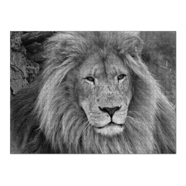 Puzzle Ravensburger "Großes Löwen Männchen" artboxONE - Tiere,Schwarzweiß,Reise / Afrika - Löwe,Afrika,Löwen männchen - Bild löwe