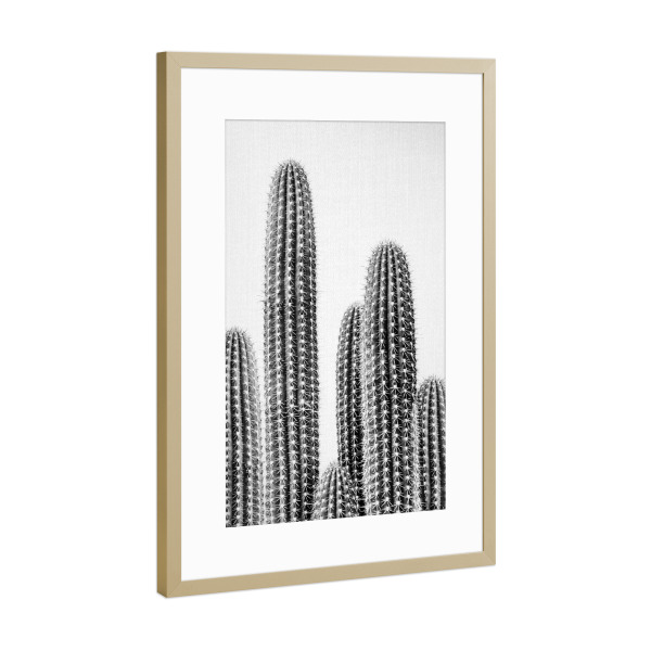 Poster mit Rahmen Gold "Cacti Portrait - B&W" artboxONE - Natur,Floral,Für Kinder,Schwarzweiß,Für Mama,Für Papa
