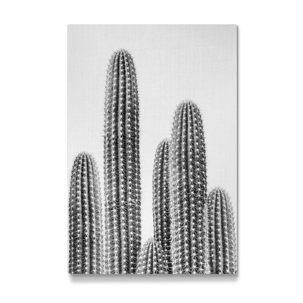Galerie-Print "Cacti Portrait - B&W" 30x20 cm artboxONE