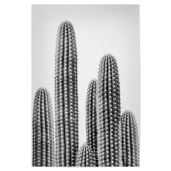 Poster 30x20 cm "Cacti Portrait - B&W" artboxONE - Natur,Floral,Für Kinder,Schwarzweiß,Für Mama,Für Papa
