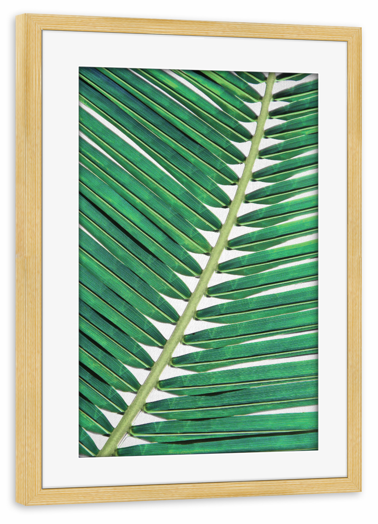 Poster mit Rahmen kiefer "Palm Leaf Close Up" artboxONE - Natur,Floral,Für Kinder,Für Mama,Für Papa