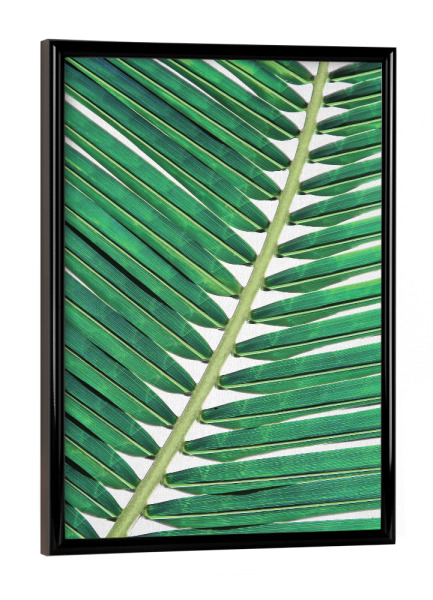 Poster mit schwarzem Rahmen "Palm Leaf Close Up" artboxONE - Natur,Floral,Für Kinder,Für Mama,Für Papa