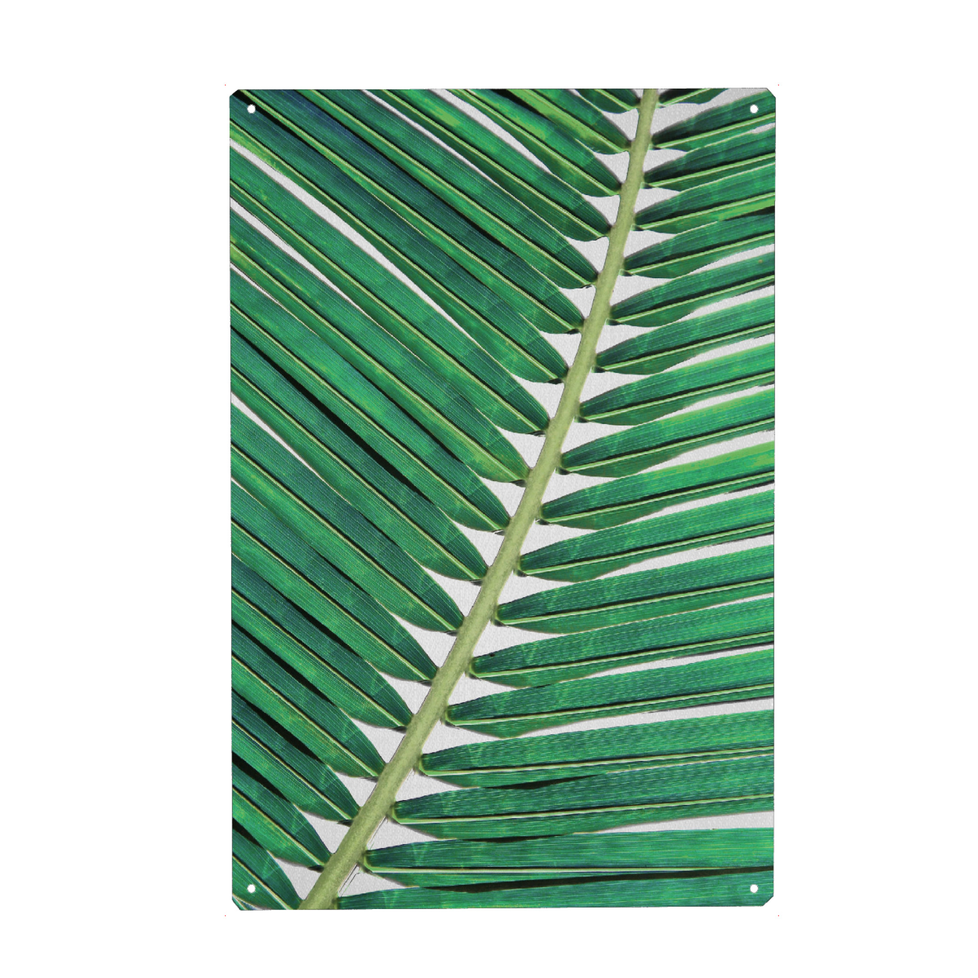 Metall Poster "Palm Leaf Close Up" artboxONE - Natur,Floral,Für Kinder,Für Mama,Für Papa