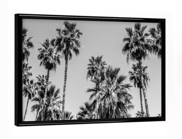 Poster mit schwarzem Rahmen "L.A. Palm Trees By the Beach" artboxONE - Natur,Reise,Reise / Strand und Meer