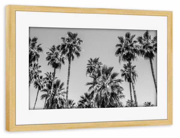 Poster mit Rahmen kiefer "L.A. Palm Trees By the Beach" artboxONE - Natur,Reise,Reise / Strand und Meer