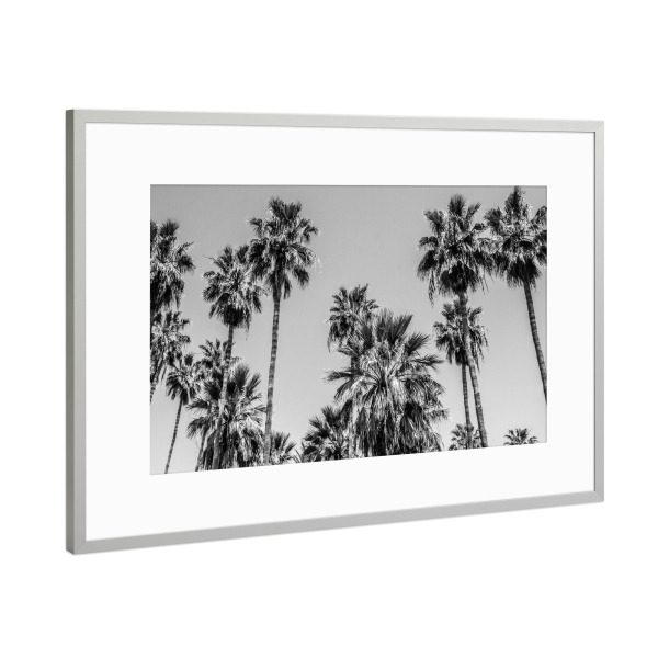 Poster mit Rahmen Silber "L.A. Palm Trees By the Beach" artboxONE - Natur,Reise,Reise / Strand und Meer